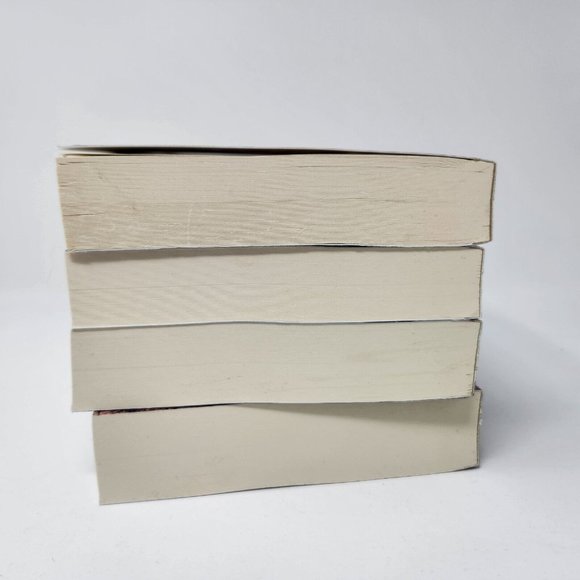 The Book of the Shepherds 4 Book Series by James L Davis - The Rages, Greyland - Picture 14 of 15